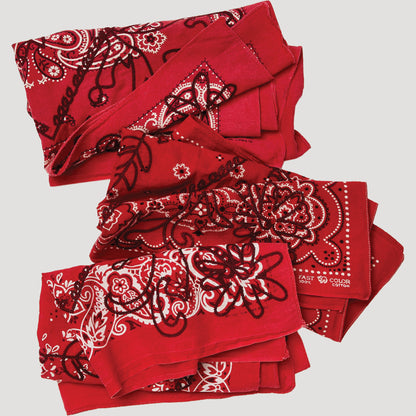 Free People x Yellowstone Bandana